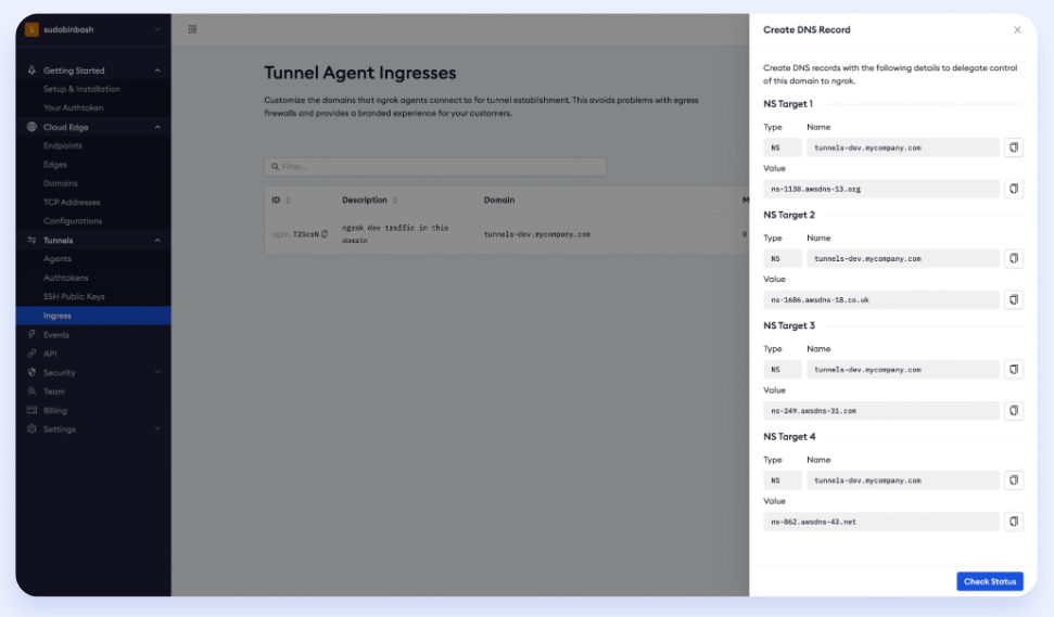 Defining a custom ingress: Configurations for your DNS server